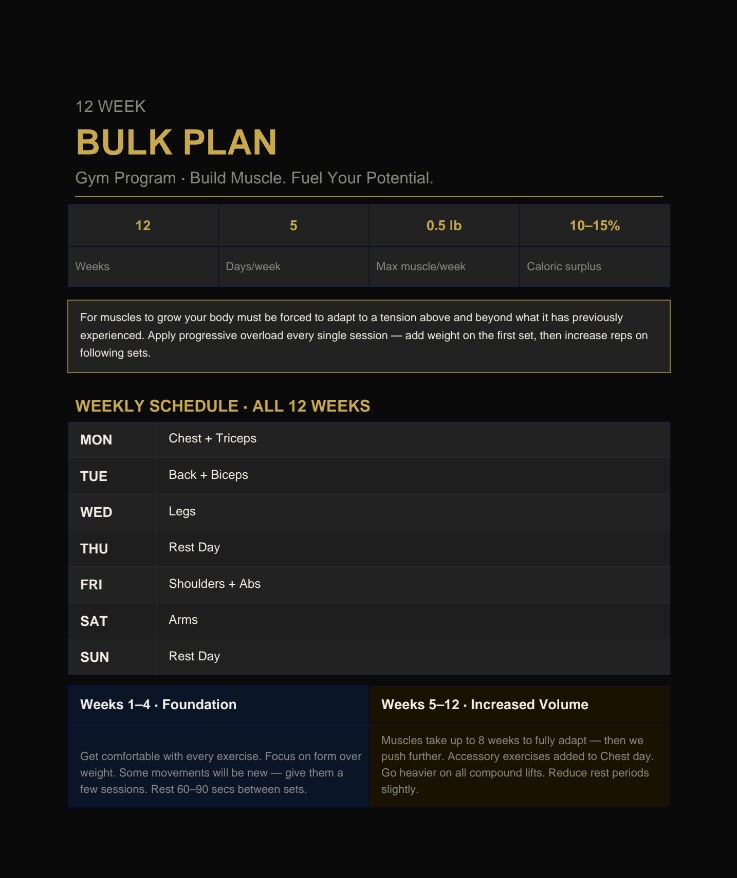 12 Week Bulk Plan